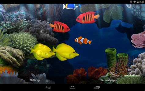 46 Live Aquarium Wallpapers Free Download Wallpapersafari