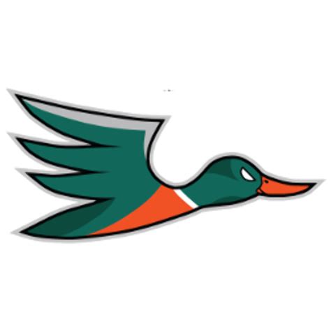Download High Quality Anaheim Ducks Logo Redesigned Transparent Png
