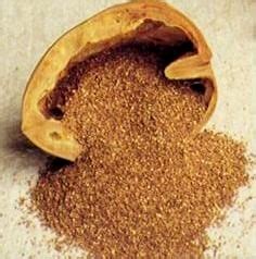 Walnut shell on the ground. Cosmetic Walnut Shell - Composition Materials Co.