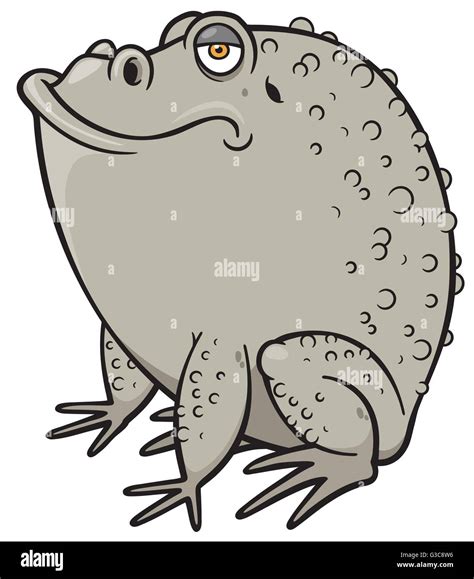 Ilustración Vectorial De Cartoon Frog Imagen Vector De Stock Alamy