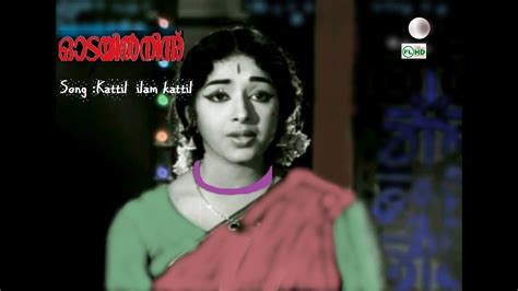 Malayalam Video Song Kattil Ilam Kaattil Odayil Ninnu S Janaki Hits Youtube