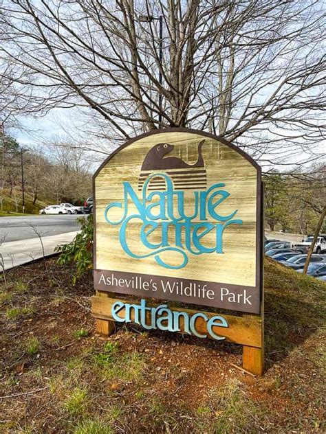 The Wnc Nature Center Everything To Know When In Asheville