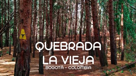 Quebrada La Vieja Bogotá Cómo Llegar Qué Hacer Horarios Registro