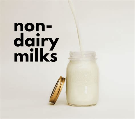 10 Different Types Of Non Dairy Milk With Recipes Delishably Food And Drink