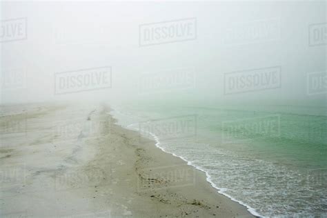 Beach Covered In Fog Stock Photo Dissolve