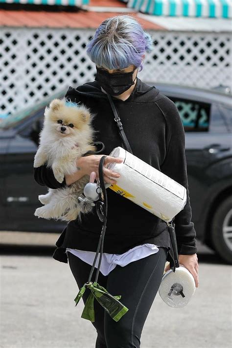 Posting a collage of highlights from 2019, the reality tv personality, 35, wrote out her intentions for 2020, which include putting her own. KELLY OSBOURNE Out with her Dog in Los Angeles 04/20/2020 - HawtCelebs