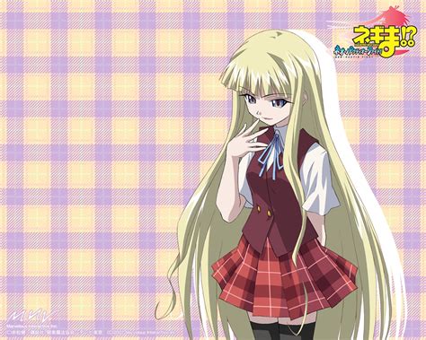 fond d écran illustration blond anime dessin animé modèle jupe mahou sensei negima