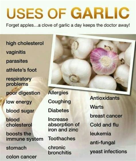There are other garlic benefits for men, including the fact that women are more attracted to the body odor of men who eat garlic. 14 best Garlic (Health benefits) images on Pinterest ...