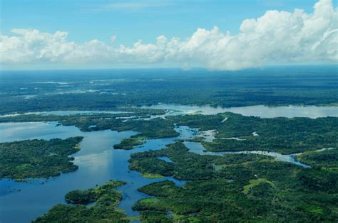 Where The Amazon Meets The Ocean Smithsonian Ocean