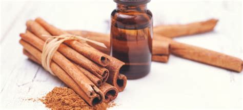 Cinnamon Oil 10 Proven Health Benefits And Uses Dr Axe