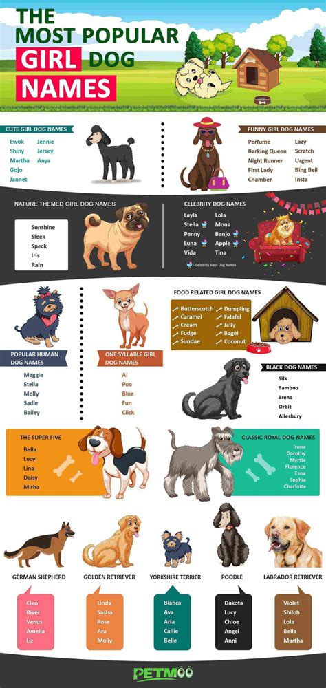 Girl Dog Names Top Female Dog Names Of 2023 Backed With Vibrant