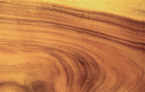 Free Download Smooth Wood Texture Walnut Panel Flowing Grain Stock