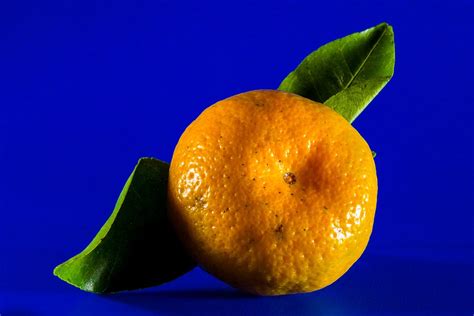 Orange Mandarin Fruit Citrus · Free Photo On Pixabay