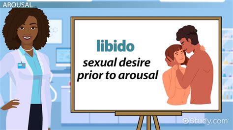 Sexual Intercourse Stages Physiological Changes Regulation Lesson