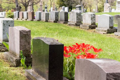 Long Island Cemetery Worker Buried Alive Dies Inside Open Grave Wnews