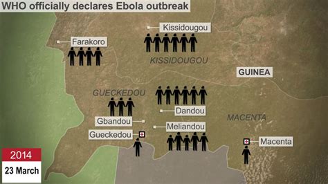Tracing The Ebola Outbreak Bbc News