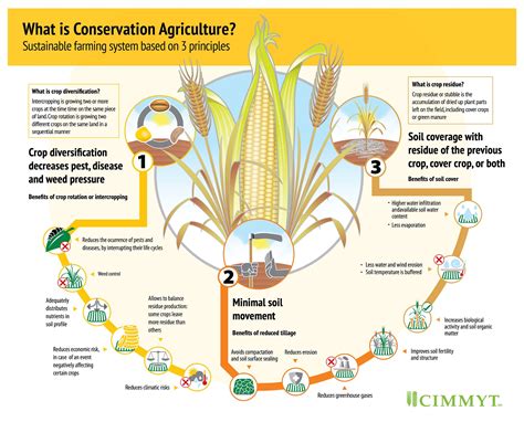 What Is Conservation Agriculture Cimmyt