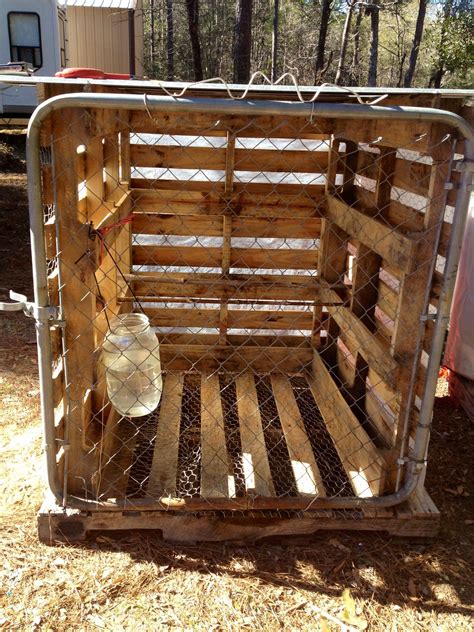 The builders saved about $1000 in lumber by using the free pallets. Pallet chicken coop/pen. Good for keeping a sick chicken separate. | Simple chicken coop plans ...