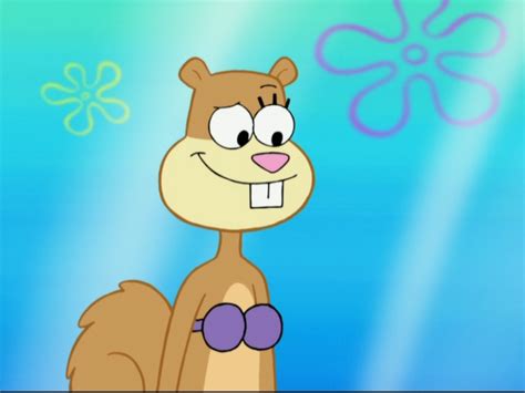 Sandy Cheeks Funny Face