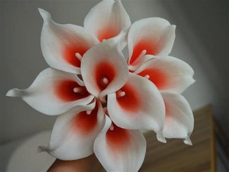 10 Coral Picasso Calla Lilies Real Touch Flowers Diy Wedding Etsy