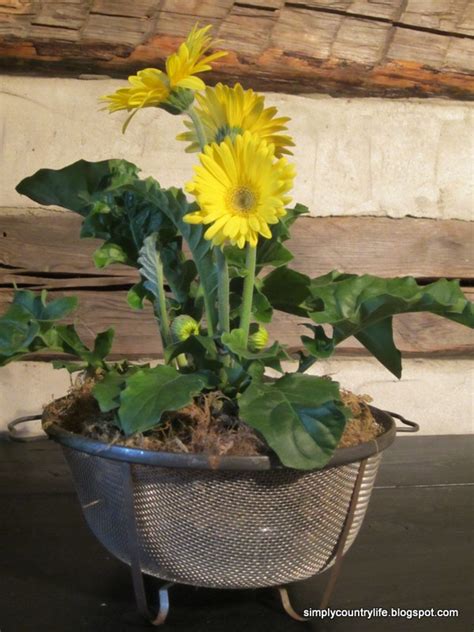 Simply Country Life Rusty Strainer Planter Mini Makeover