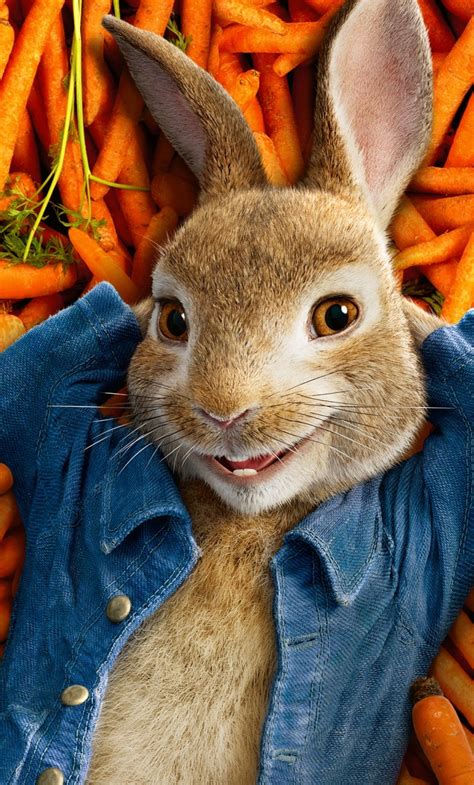 1280x2120 Resolution Peter Rabbit 2018 Movie Poster Iphone 6 Plus