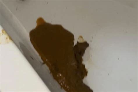 Woman Forced To Scoop Poo Out Of Bath After Burglar Broke In And Took