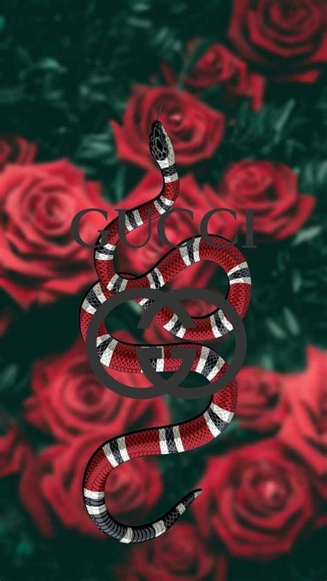 Red Gucci Wallpapers On Wallpaperdog