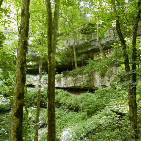 Cedar Sink Trail Mammoth Cave National Park All You Need To Know