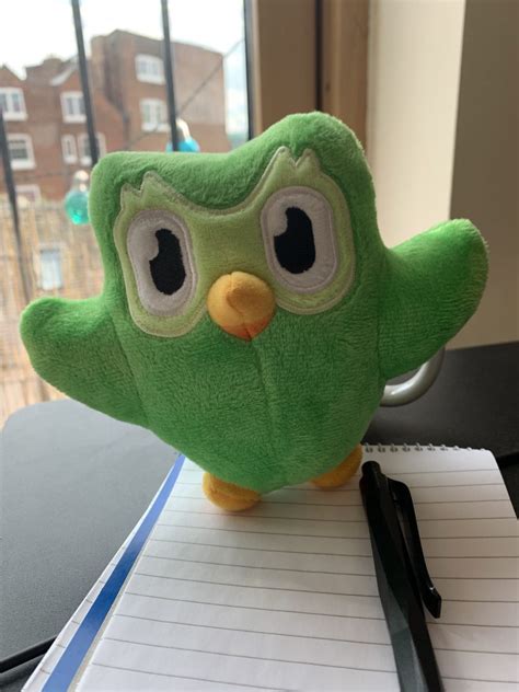 Meet The Duolingo Owl The Bird That Changed Language Learning Duoplanet