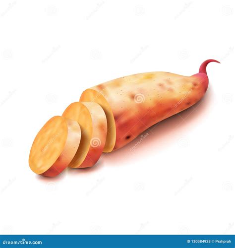 Realistic Sweet Potato On A White Background Stock Vector