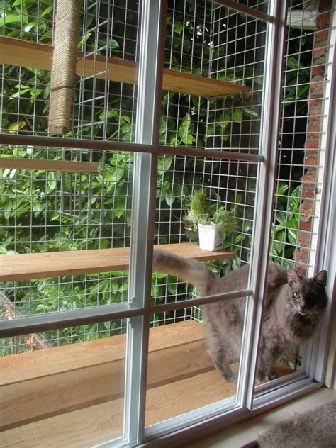 Maybe you would like to learn more about one of these? 43 best images about High rise cats on Pinterest | Cats, Cat grass and Pet door