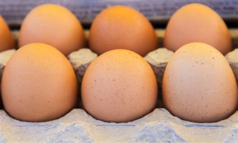How To Tell If Eggs Have Gone Bad With Fresh Egg Tests Metro News