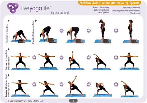 Prenatal Yoga Program Class 3 Prenatal Yoga Poses Prenatal Workout