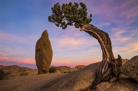 Photography Nature Landscape Rocks Trees Alone Sky Wallpapers Hd