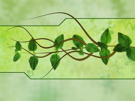 Free Wallpaper Includes Green Plants And Its Vines A Must Have For