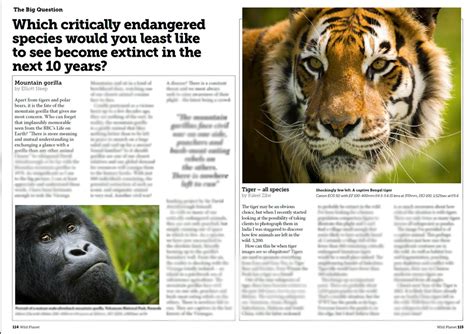Two Wildlife Opinions Badger Cull And Critically Endangered Tigers