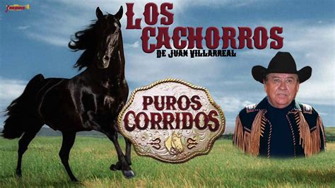 Los Cachorros De Juan Villarreal Puros Corridos Playlist Oficial