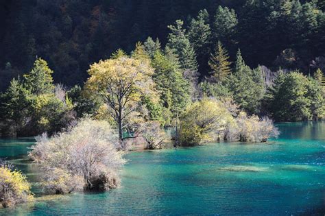 Jiuzhaigou Sparkling Lake In Winter Stock Photo Image Of Fairy