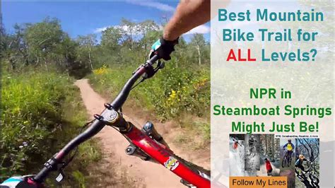 Best Downhill Mountain Bike Trail For All Levels Probably Npr