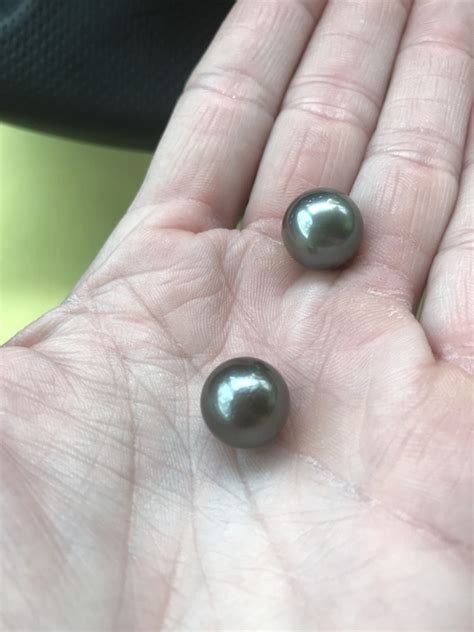 Hand Picked Tahitian Black Pearl The World Of Pearl