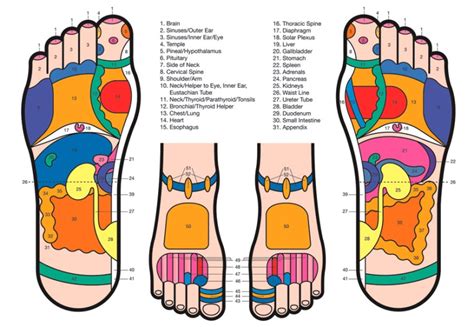 Foot Reflexology An Extra Spring In Your Step — Victoria Community