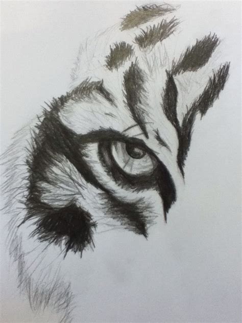 Tiger Eye Drawn From Picture Tiger Tattoo Small Tiger Eyes Tattoo
