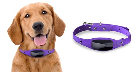 Blackdecker Smart Dog Collar With Gps Tracker