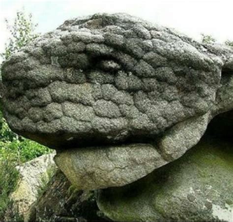 The Naka Cave Rock Formation Of A Giant Snake Must See Global