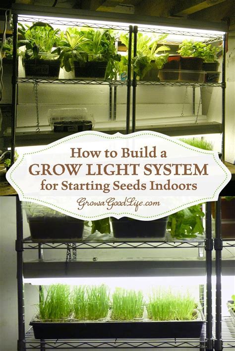 How To Assemble A Grow Light System For Starting Seeds Indoors For