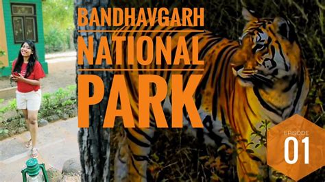 Bandhavgarh Tiger Reserve Paradise Of Tigers Ep Cinematic