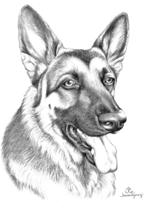 German Shepherd Coloring Pages Printable - Printable Templates