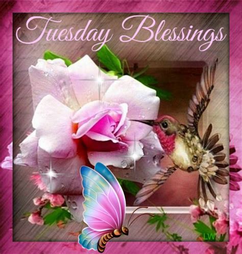 Nature Tuesday Blessings Pictures Photos And Images For Facebook