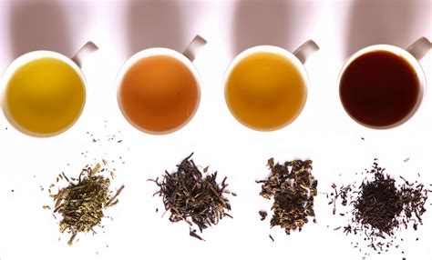 Green Oolong Black Different Types Of Tea Altitude Tea